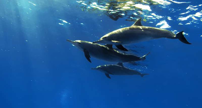 How Sea Beaches Improve Mental Health and Happiness